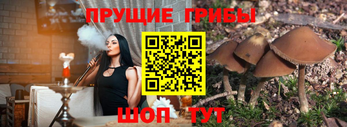 Каменка  Галлюциногенные грибы мухоморы  Вход с VPN 