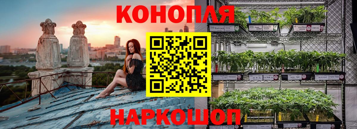 Каменка  Конопля семена  Бошки Шишки THC 21%  Вход с VPN 